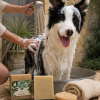 chien qui se fait doucher chien qui se fait doucher